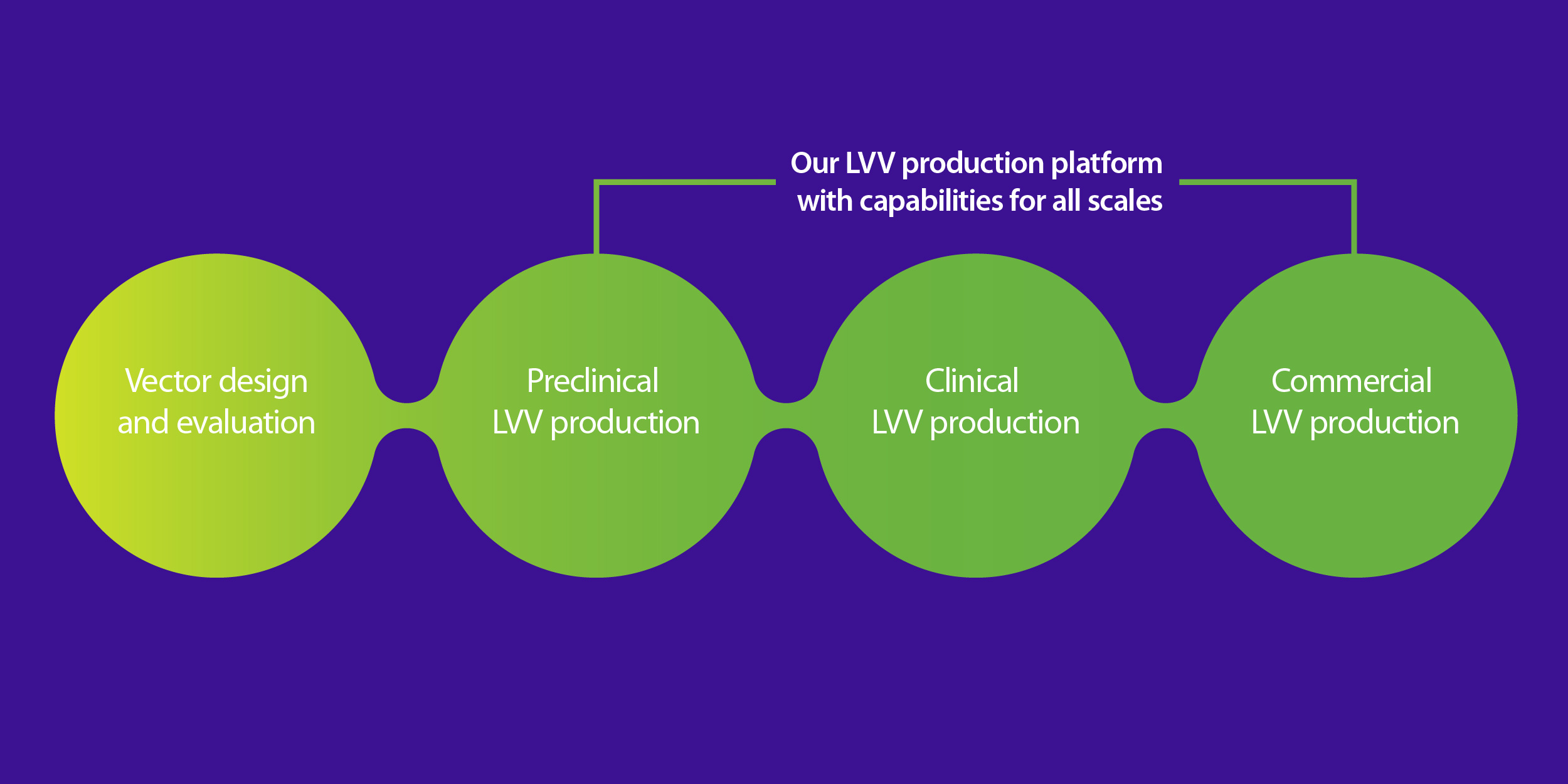 Scalable lentiviral vector production workflow.