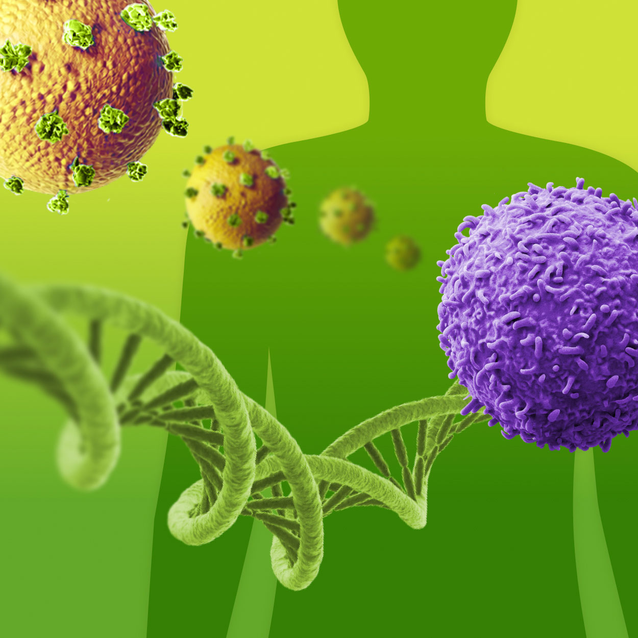 <strong>Step inside – </strong><i><strong>in vivo</strong></i><strong> LVV</strong>